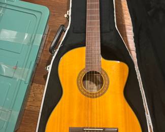 Takamine Electric Acoustic guitar in hard shell case