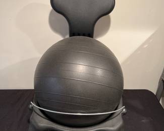Exercise Ball and Chair