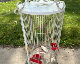 Bird Cage