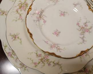 Theodore Haviland dishes.Rosalinde.
