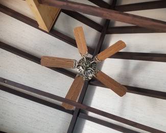Ceiling fan