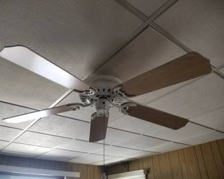 Ceiling fan