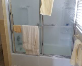 Glass shower doors