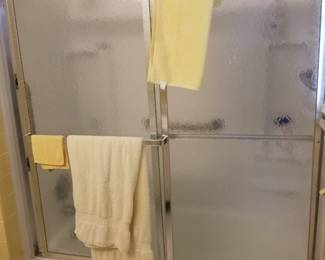 Glass shower doors