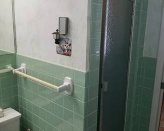 Glass shower door