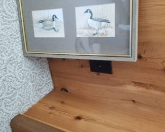 Ducks