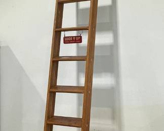 11 Foot Library Ladder