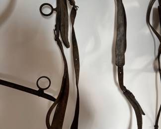 antique horse harness, bridle, 