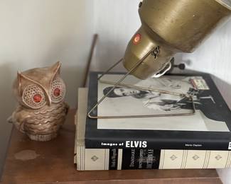 from owls to spot lamps 