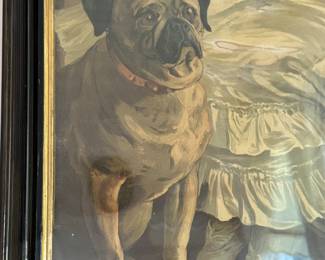 detail of the puppy 