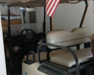 Golfcart with new batteries