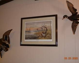 Ducks Unlimited Wall Art
Duck wall mounts