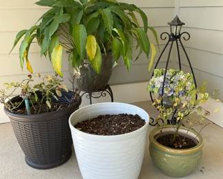 Pots And Plants