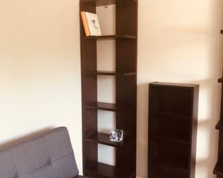Dutton and book shelves