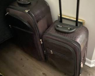 Luggage Set
