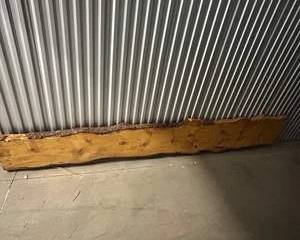 Live Edge Slab Wood Board – Rustic Natural Pine 131” Long x 15” Wide Furniture, Bar Top or DIY Project