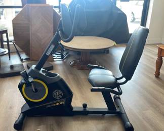 Golds Gym 390R Cycle Trainer