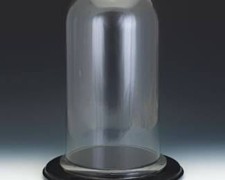 Glass Dome with Fitted Wood Base
