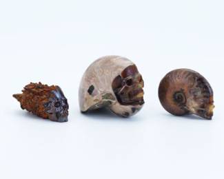 Group of Three Fossil and Stone Skull Carvings