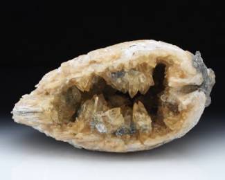 Calcite and Quartz Geode in Fossil Bivalve Shell