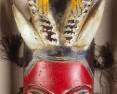 Rare African Gouro Zaouli Hybrid Mask Ivory Coast, in Electrified Shadow Box