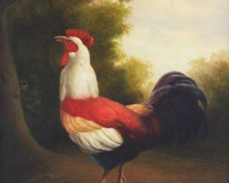 Willem 20th Century