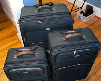 Ricardo luggage