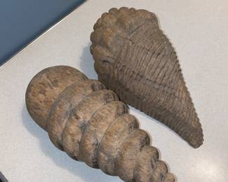 Wooden shells