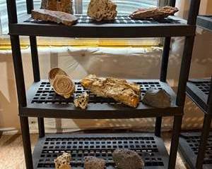Extensive Natural Rock, Fossil and Mineral Collection
