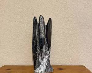 Preserved Squid Fossil Orthoceras from Morrocco