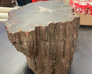 LARGE petrified wood