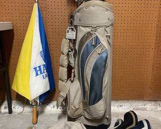 AS210King Cobra Golf Clubs With Synergy Bag