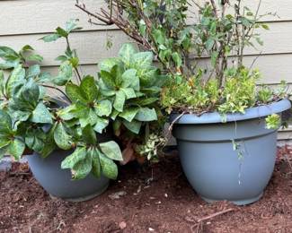 56 LargeCompositePlantingPots