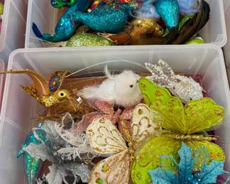 Birds Butterflies