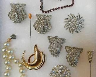 Costume Brooches and More