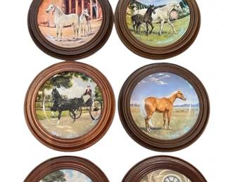 Purebred Horses Of The Americas Plate Collection