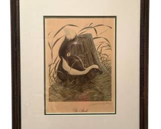 19 x 16 Framed The Skunk Art Print by John A. Ruthven Signed