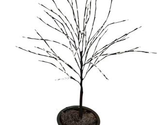 Decorative Lighted Tree w Ceramic Planter Pot