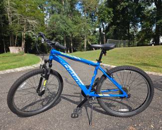 Schwinn Ranger Mountain Bike ($100)