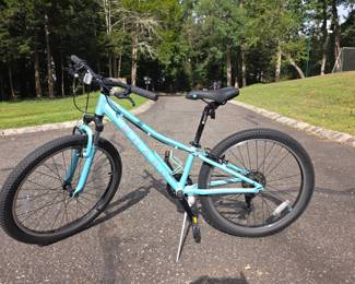 Haro 24" ($250)
