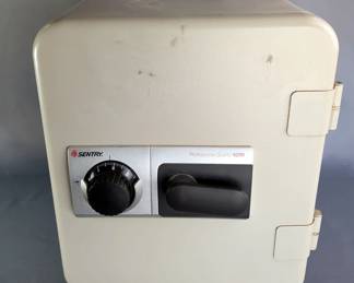 Sentry Professional Quality 6250 Combination Safe