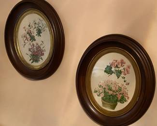 Framed Floral Prints