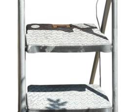 Cosco Folding Step Ladder
