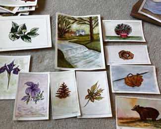 Dotti Rotto original