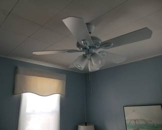 Lighted ceiling fan