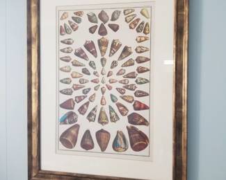 Shell art