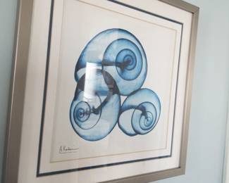 Abstract shell art
