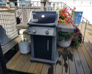 Weber Spirit gas grill