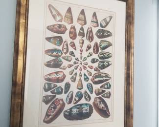 Shell art