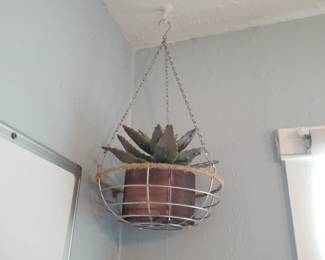 Botanical decor